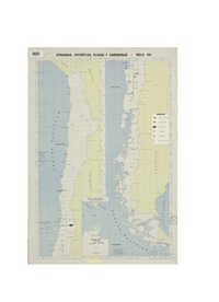 Epidemias, epizootias, plagas y hambrunas siglo XVI.