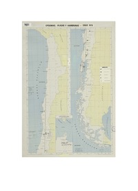 Epidemias, plagas y hambrunas siglo XVII.