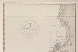 [Punta] Poroto a Lengua de Vaca