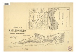 Malleco-Dillo superficie 3.598 hectáreas : plano N° 2. [material cartográfico] :