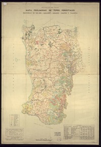 Mapa preliminar de tipos forestales provincias de Bío-Bío, Malleco, Arauco, Cautín y Valdivia