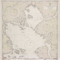 Puerto Montt a Isla Tac