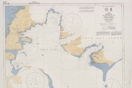 Chile, Antártica Islas Shetland del Sur, Bahía Fildes