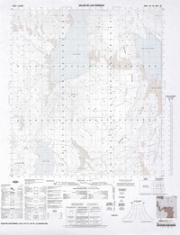 Salar de Las Parinas (25°45'-68°30')