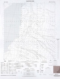 Salar Punta Negra 24°30' - 68°45'