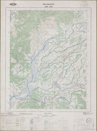 Pelchuquín 3930 - 7300 [material cartográfico] : Instituto Geográfico Militar de Chile.