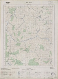 Pellahuén 3815 - 7300 [material cartográfico] : Instituto Geográfico Militar de Chile.