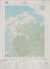 Pullingue 3930 - 7200 [material cartográfico] : Instituto Geográfico Militar de Chile.