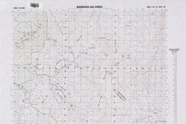 Quebrada las cañas (28°45'-70°30')