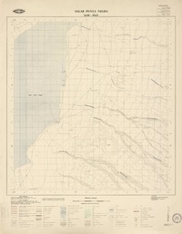 Salar Punta Negra 2430 - 6845 [material cartográfico] : Instituto Geográfico Militar de Chile.