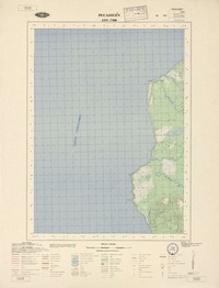 Pucaihuén (43° 15'-73° 00')