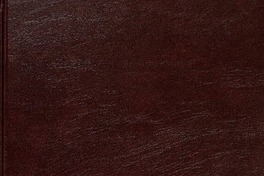 Mapa geomorfológico de Chile: descripción geomorfológica del territorio