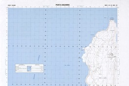 Punta Angamos