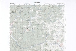 Pellahuén G-058 (38° 15'- 73° 00')