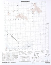 Planicie Teniente Merino