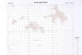 Planicie Teniente Merino