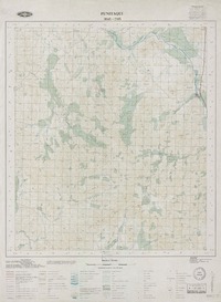 Punitaqui 3045 - 7115