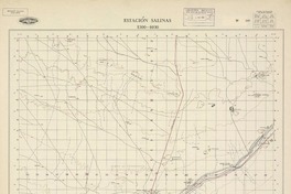 Estación Salinas 2300 - 6930 [material cartográfico] : Instituto Geográfico Militar de Chile.