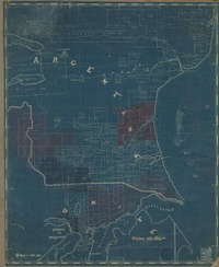 [Distribución de tipos de propiedades Chile - Argentina]  [material cartográfico]