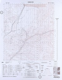 Carrera Pinto  [material cartográfico] Instituto Geográfico Militar.
