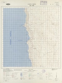 Caleta Buena 1945 - 7000 [material cartográfico] : Instituto Geográfico Militar de Chile.