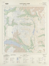 Caleta Puerto Alegre 4745 - 7300 [material cartográfico] : Instituto Geográfico Militar de Chile.