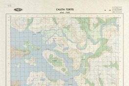 Caleta Tortel 4745 - 7320 [material cartográfico] : Instituto Geográfico Militar de Chile.