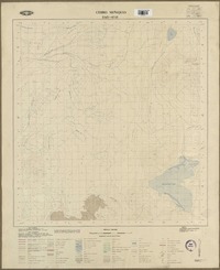 Cerro Miñiques 2345 - 6745 [material cartográfico] : Instituto Geográfico Militar de Chile.