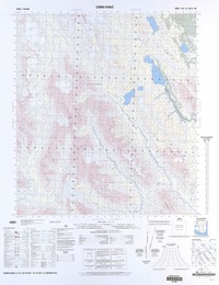 Cerro Dublé (53° 30' 00"- 71° 15' 00")  [material cartográfico] Instituto Geográfico Militar de Chile.