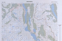 Cerro Pamposo  [material cartográfico] Instituto Geográfico Militar.