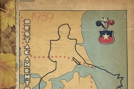 Carta caminera de la Patagonia  [material cartográfico] editado por el Instituto Geográfico Militar.
