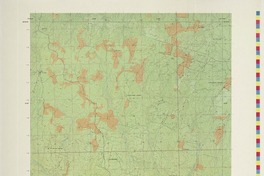 Las Ñochas 383000 - 731500 [material cartográfico] : Instituto Geográfico Militar de Chile.