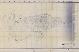Plano de la ciudad de Iquique con índice de calles [material cartográfico] : Ilustre Minicipalidad de Iquique ; dibujante Jorge Platers Hurtado.