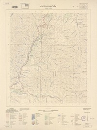 Cuesta Cavilolén 314500 - 711500 [material cartográfico] : Instituto Geográfico Militar de Chile.