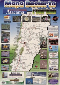 Mapa Desierto Florido III Región. [material cartográfico] :