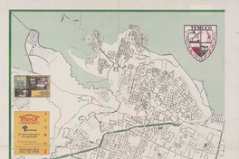 Temuco  [material cartográfico]