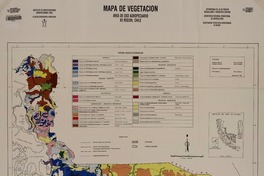 Mapa de vegetación área de uso agropecuario XII Región, Chile [material cartográfico]: Antonio Lara A., Gustavo Cruz M. ; dibujo y diagramación Aldo Roba C.
