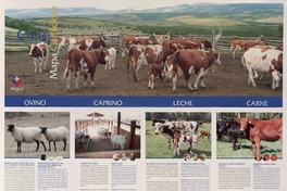 Chile : mapa ganadero.