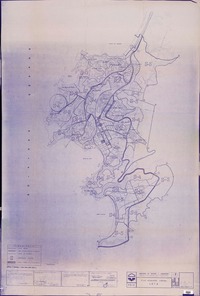 Plan regulador comunal de Lota  [material cartográfico] Ministerio de Vivienda y Urbanismo Secretaría Regional Ministerial VIII Región del Bío-Bío Departamento de Desarrollo Urbano e Infraestructura.