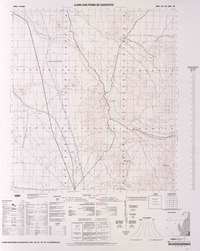 Llano San Pedro de Cachiyuyo  [material cartográfico] Instituto Geográfico Militar.