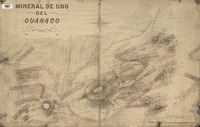 Mineral de oro del Guanaco levantado por Francisco J. San Román, jefe de la Comisión Exploradora del Disierto. [material cartográfico]