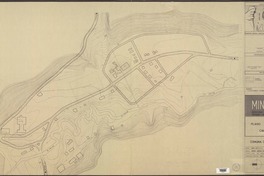 Plano ordenador de Cameron comuna de Timaukel [material cartográfico] : MINVU Secretaría Regional Ministerial Vivienda y Urbanismo XIIa. Región.