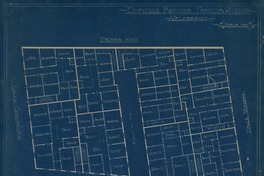 Edificios Avenida Francia = Yungay  [dibujo arquitetónico].