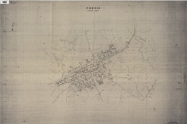 Fresia  [material cartográfico]