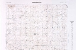 Cerro Carrizalillo  [material cartográfico] Instituto Geográfico Militar.