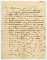 [Carta] [1895?] Oct[ubre] 18, [Malloa?] Querida Irene