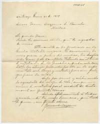 [Carta] 1919 Enero 31, Santiago [a] Señora Irene Lazcano de Bernales