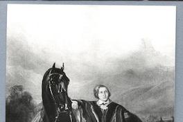 [Caballero chileno con caballo]