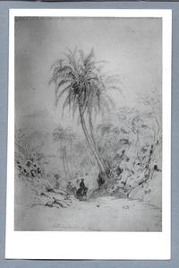 [Paisajes con palmeras]