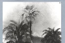 [San Martín de Elotepec con el pico de Arizaba]